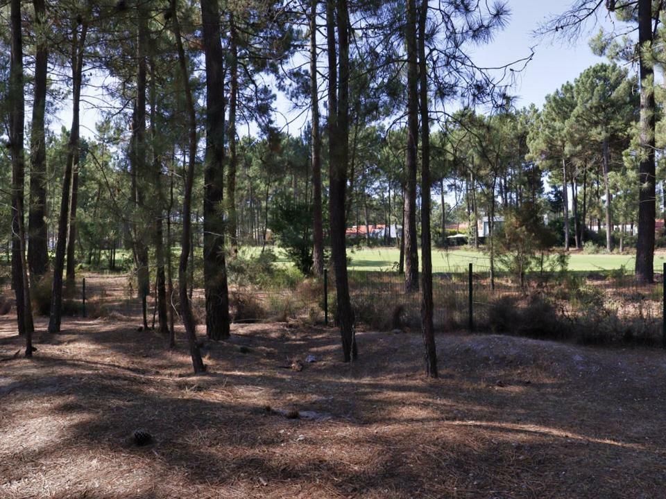 Appartement Aroeira Golf - House
